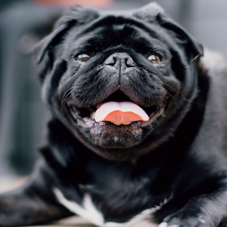 Landscape day trip near Zuerich, Switzerland